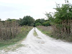 Camino al canal - panoramio
